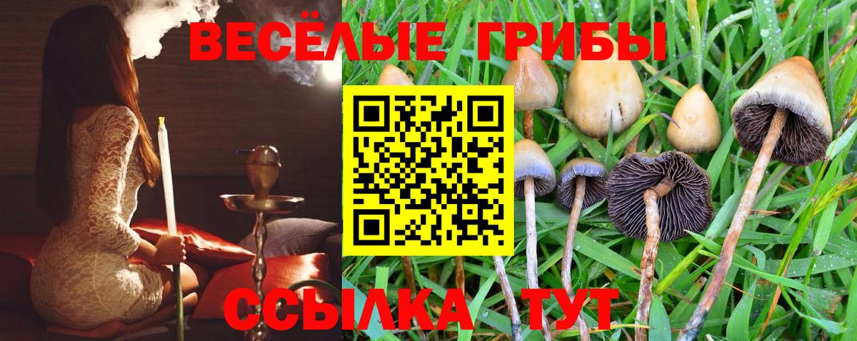 Псилоцибиновые грибы мицелий  Вход с VPN  Алексин 
