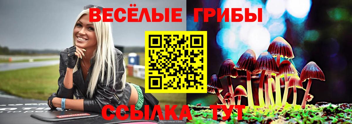 Псилоцибиновые грибы Cubensis Алексин